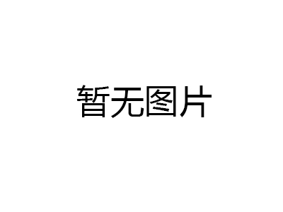 制動(dòng)盤(pán)